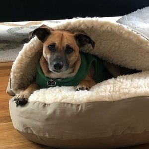 Meet your Posher, Aimee